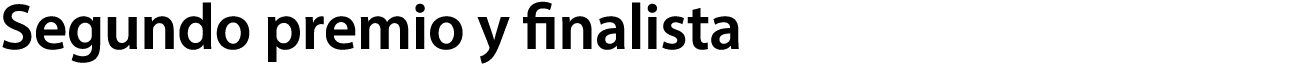 Segundo premio y finalista