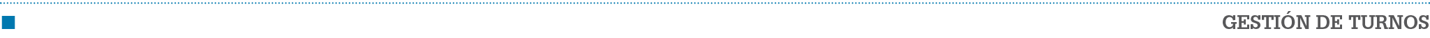  Reportaje gesti n de turnos